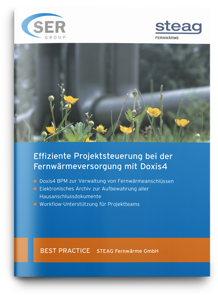 STEAG: Effiziente Projektsteuerung bei der Fernwärmeversorgung