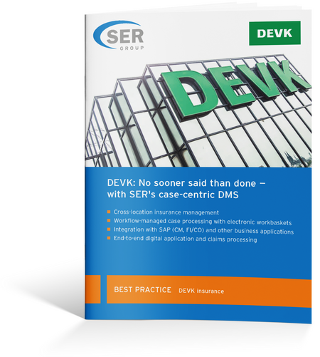 DEVK: Process-centric DMS