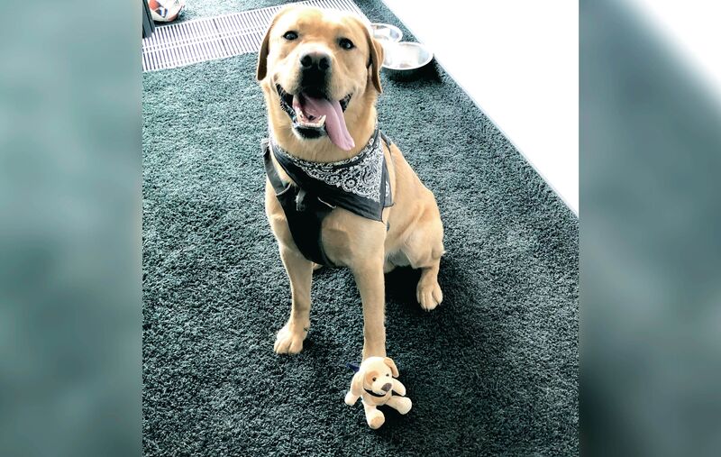 SER Weihnachtsspendenaktion