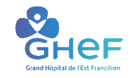 Grand Hospital de l Est Francilien