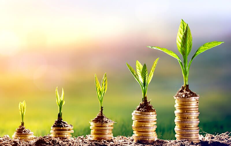 Darum lohnt sich DMS