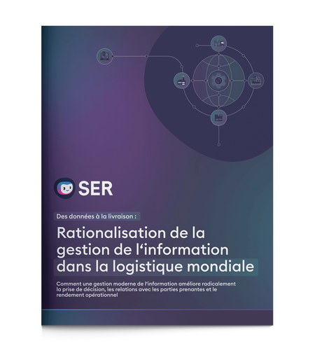 Rationalisation de la gestion de l'information dans la logistique mondiale